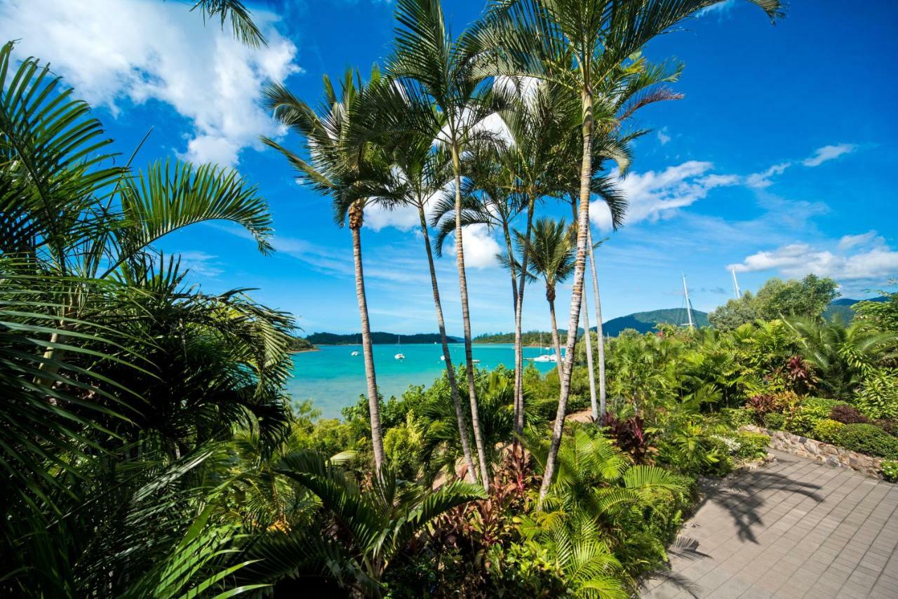 Baybliss Apartments Studio 1 Shute Harbour Экстерьер фото