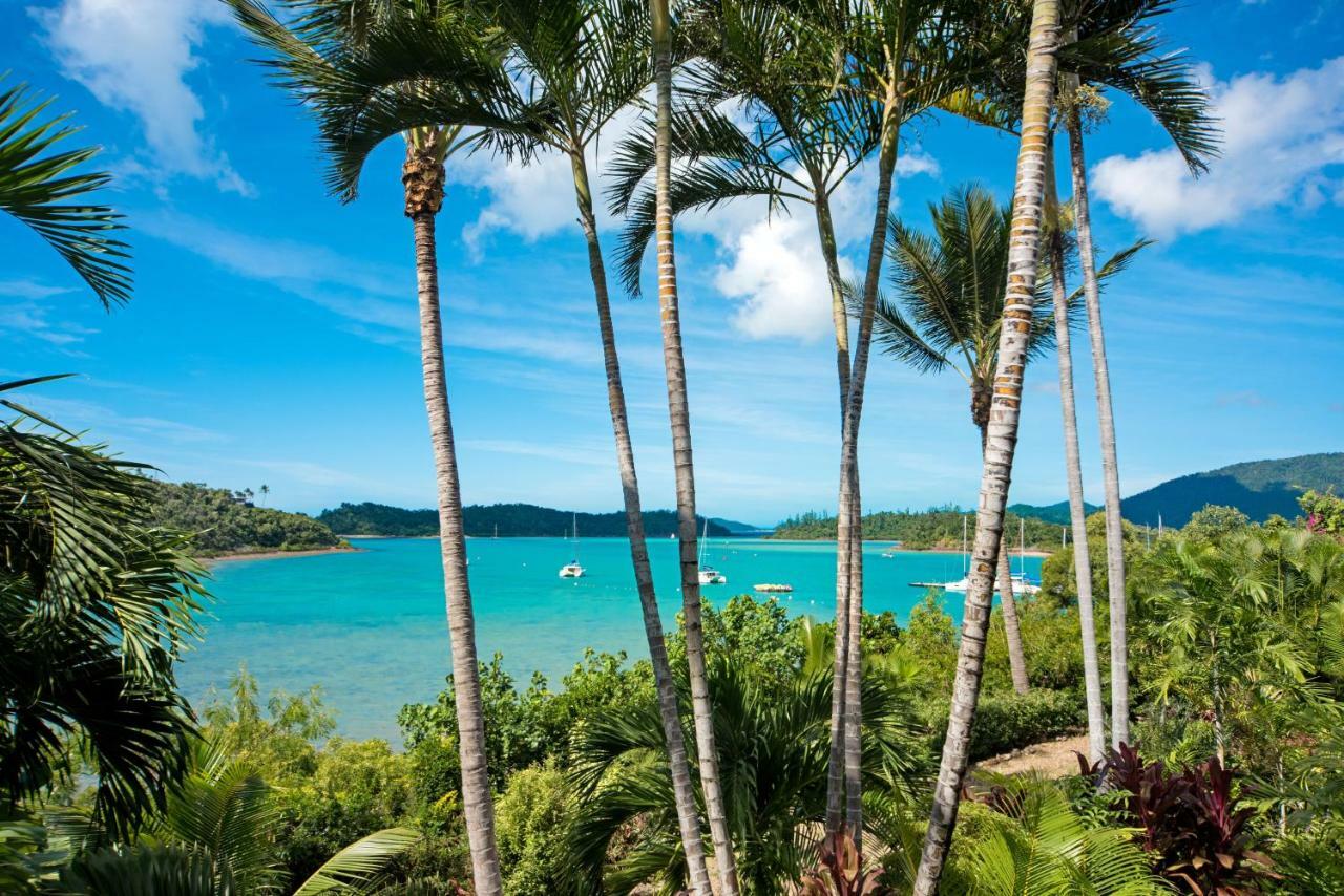 Baybliss Apartments Studio 1 Shute Harbour Экстерьер фото